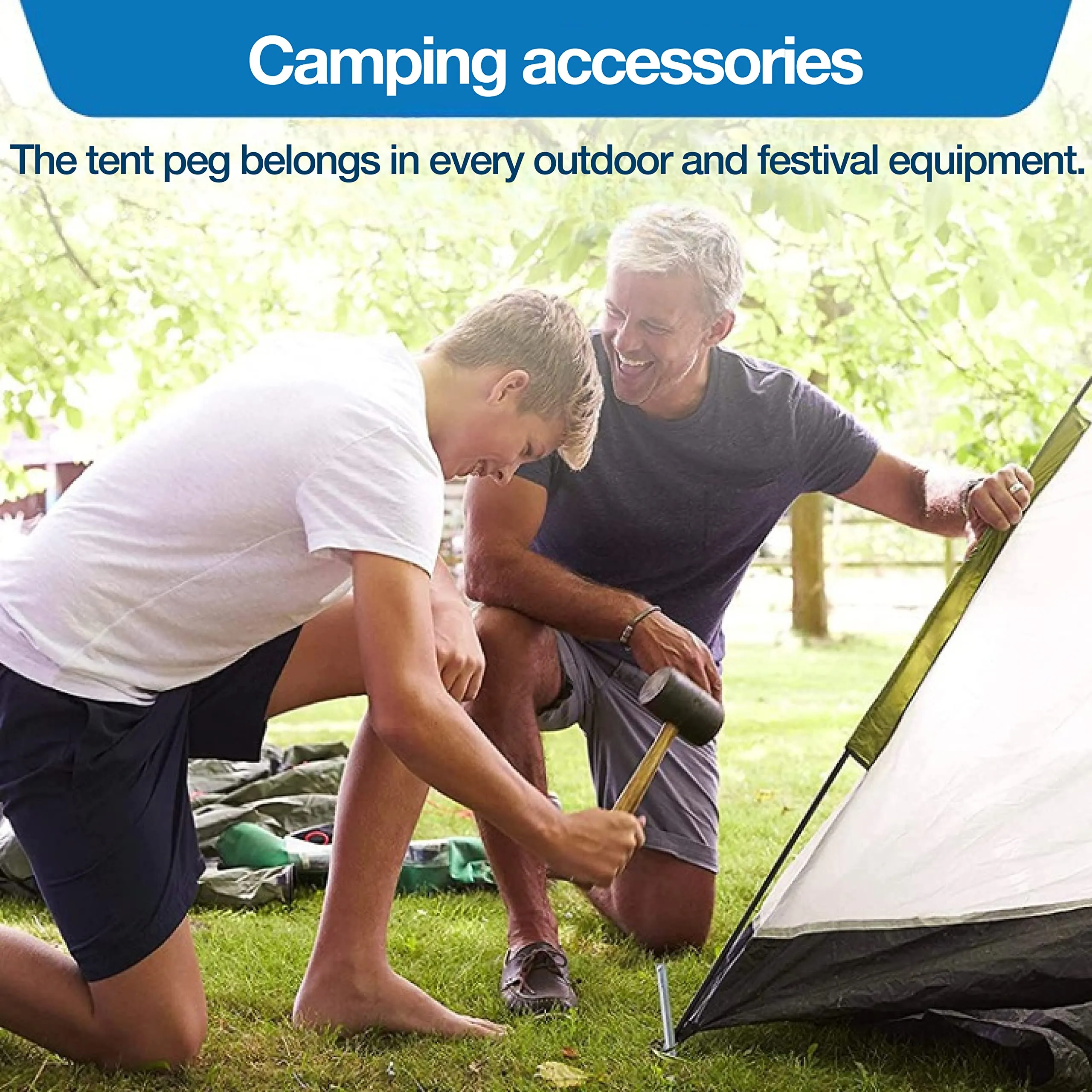 35 cm Sand pegs Set | 10 Extra Long Steel Tent pegs
